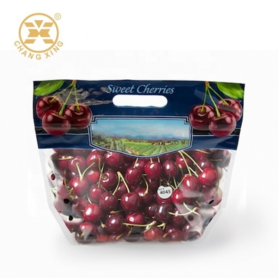 100g 500g Tas Pengemasan Buah Kering Dengan Lubang Cherry Segar Stand Up Pouch Ramah Lingkungan